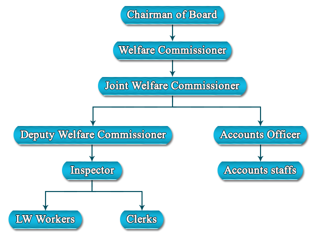 Organisational Structure