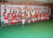 Click to enlarge Images