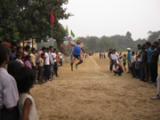 Click to enlarge Images